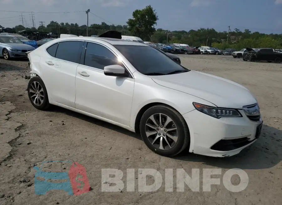19UUB1F50GA000381 Photo# 4