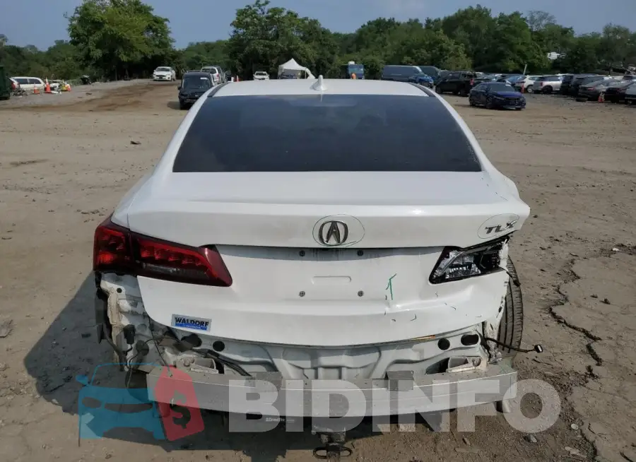 19UUB1F50GA000381 Photo# 6