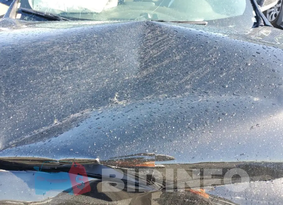 1G1ZD5ST1RF203420 Photo# 11