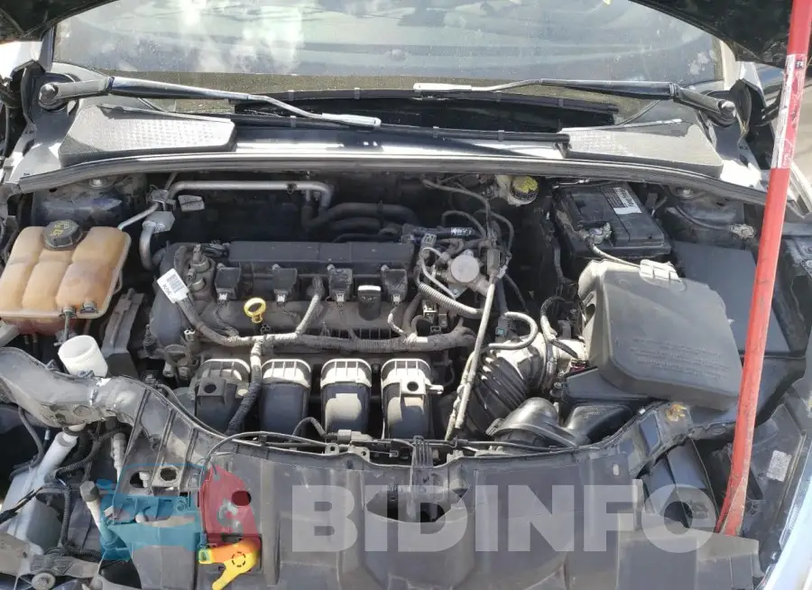 1FADP3K24GL367897 Photo# 11
