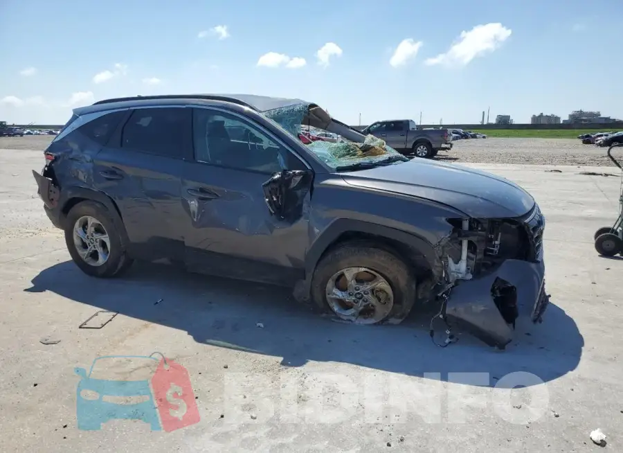 KM8JB3AE2PU198167 Photo# 4