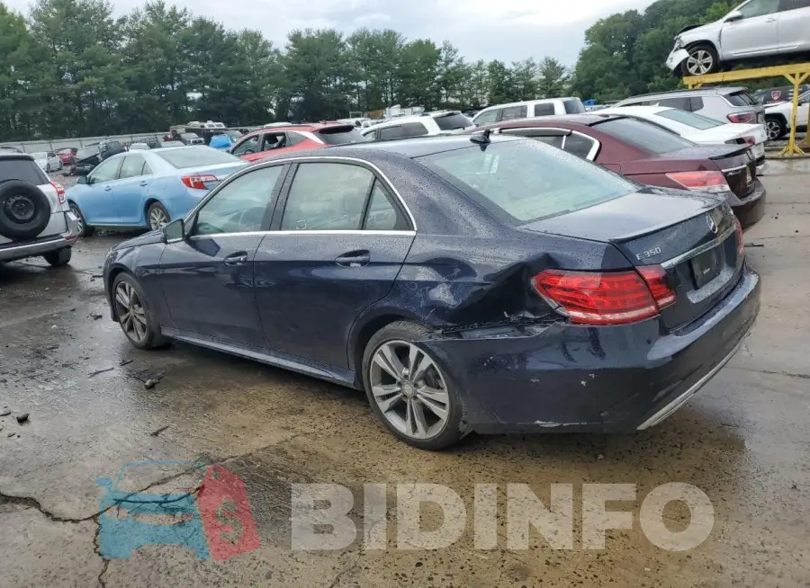 WDDHF8JB7GB210955 Photo# 2