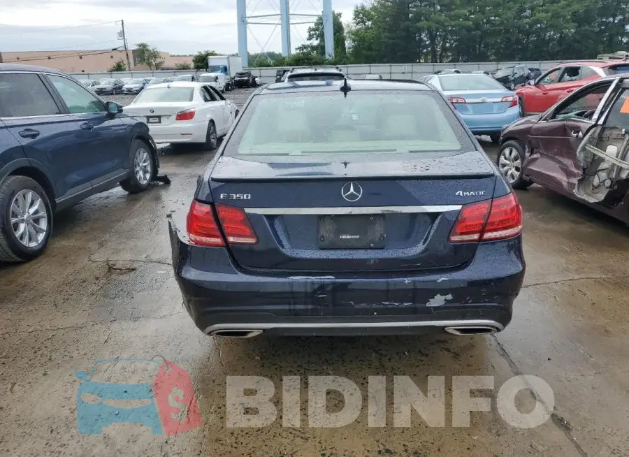 WDDHF8JB7GB210955 Photo# 6