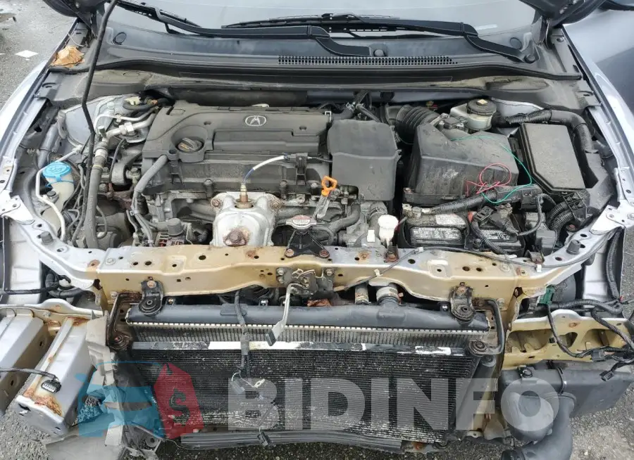 19UDE2F36GA002440 Photo# 11