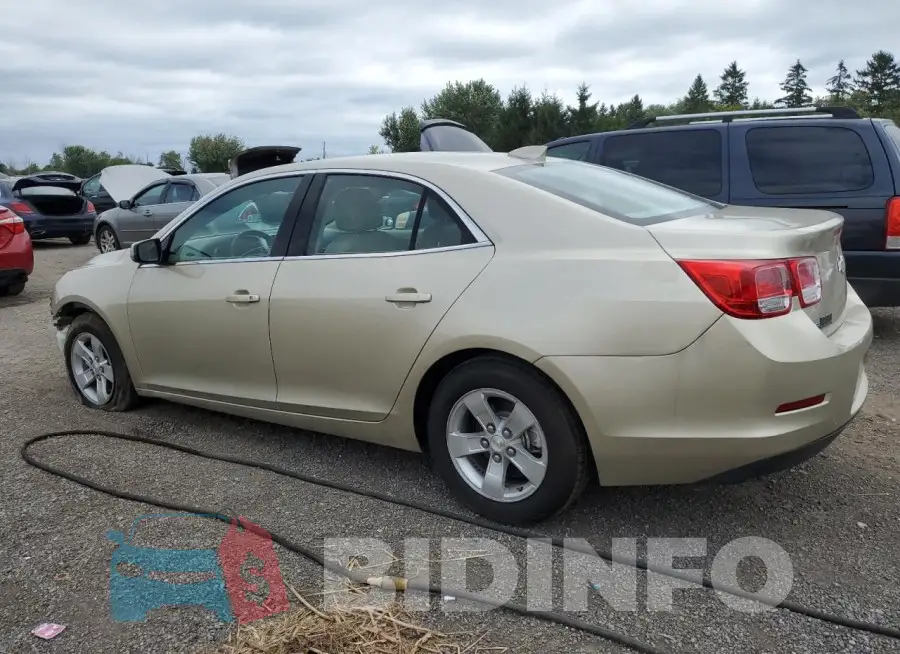 1G11C5SL2FF164476 Photo# 2