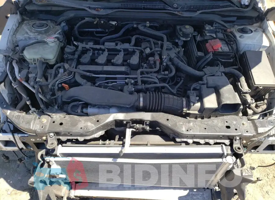 19XFC1F36LE205391 Photo# 11