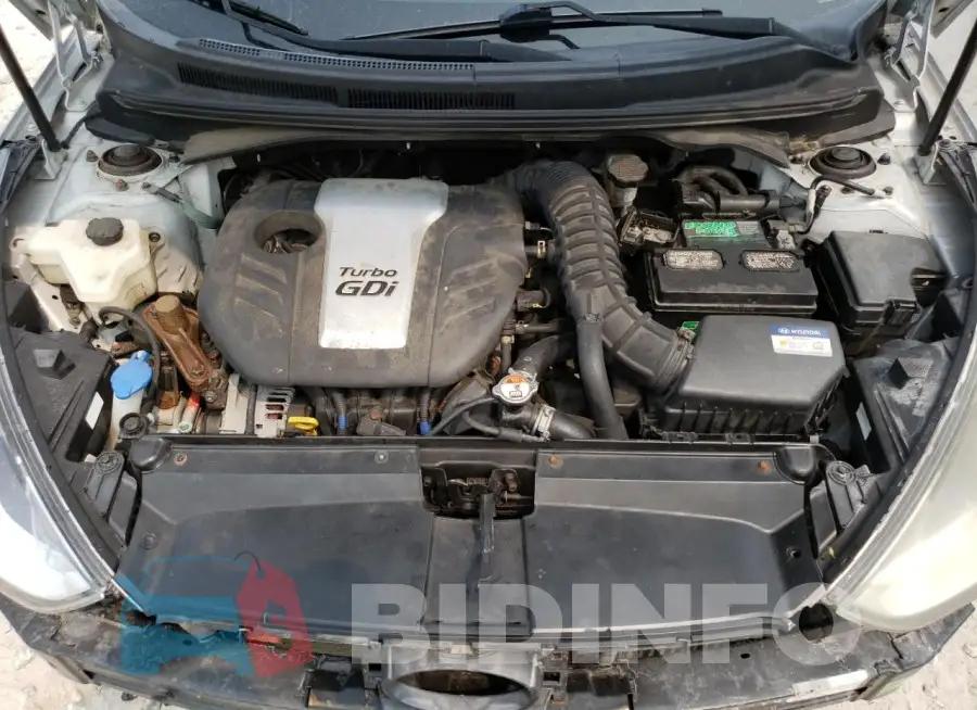 KMHTC6AE8GU264406 Photo# 11