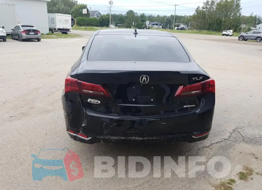 19UUB3F57FA800671 Photo# 6