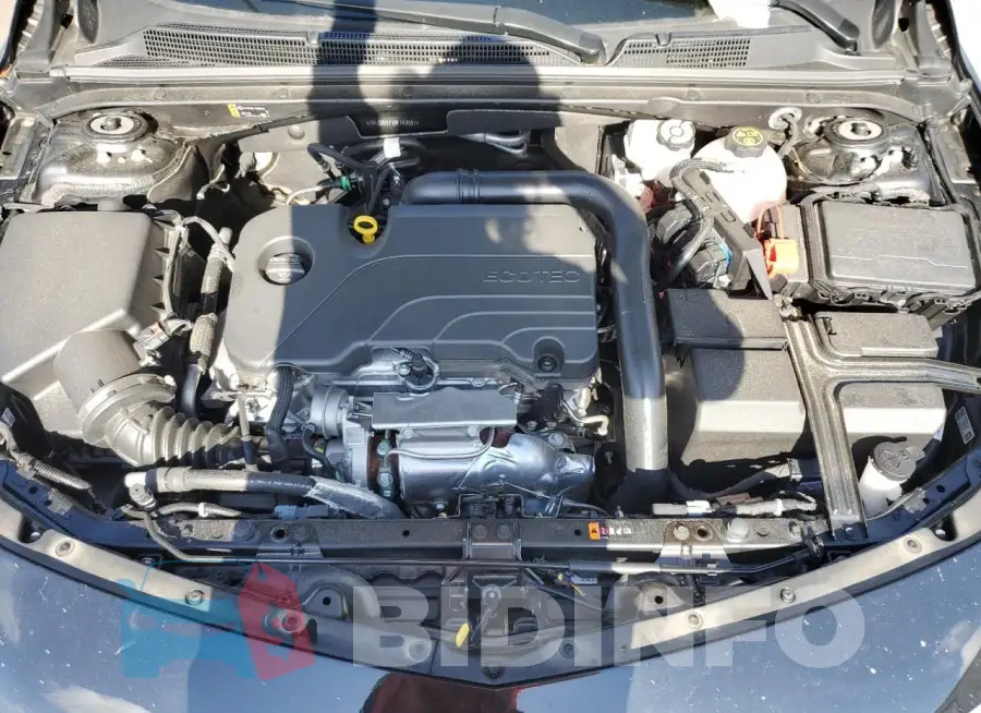 1G1ZD5ST1RF163551 Photo# 11