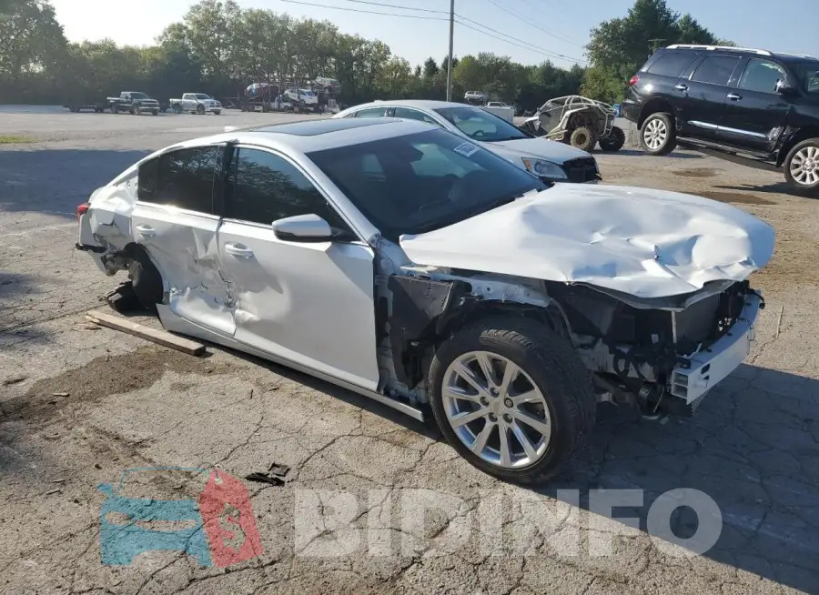 1G6DW5RK8M0106027 Photo# 4