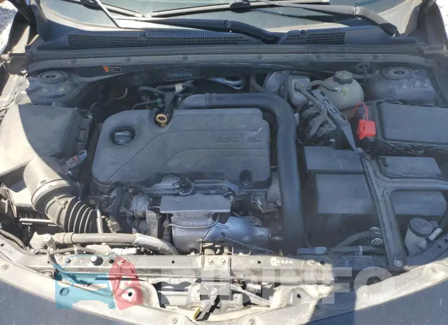 1G1ZB5ST5JF247124 Photo# 11
