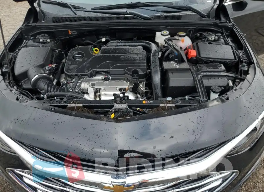 1G1ZD5ST5RF232578 Photo# 11