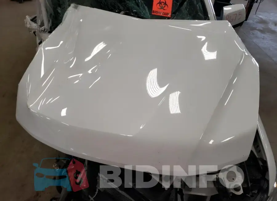 1GCHSBEN2L1164037 Photo# 11