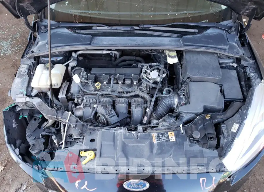 1FADP3K2XHL264906 Photo# 11