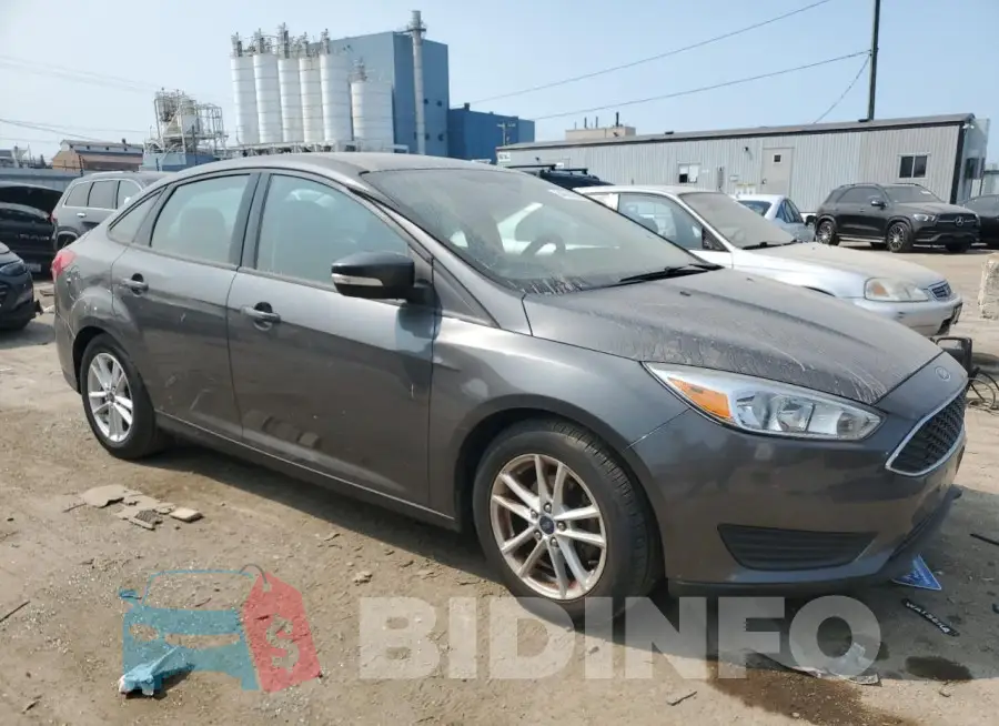 1FADP3F21GL224562 Photo# 4