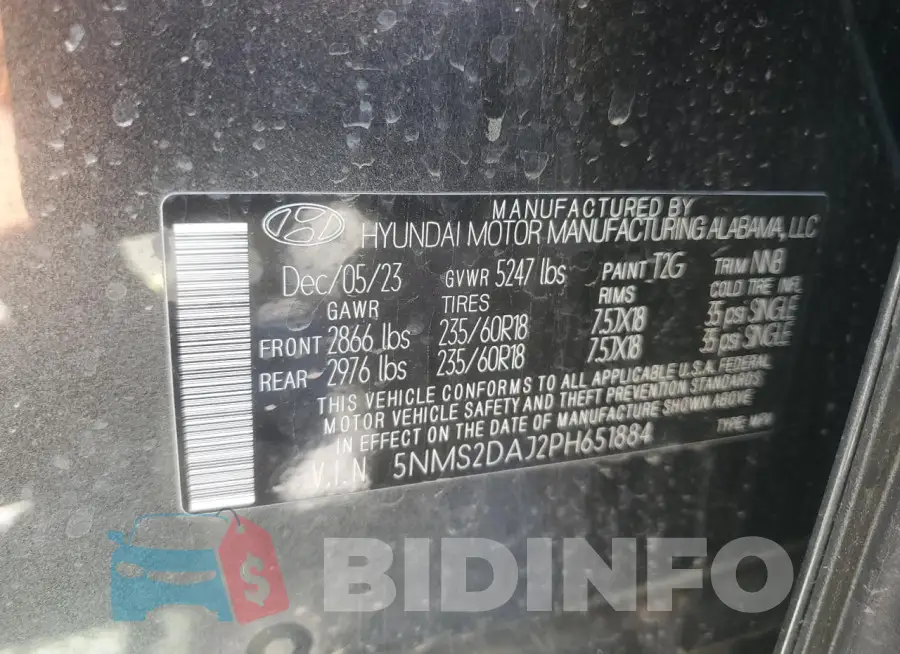 5NMS2DAJ2PH651884 Photo# 12