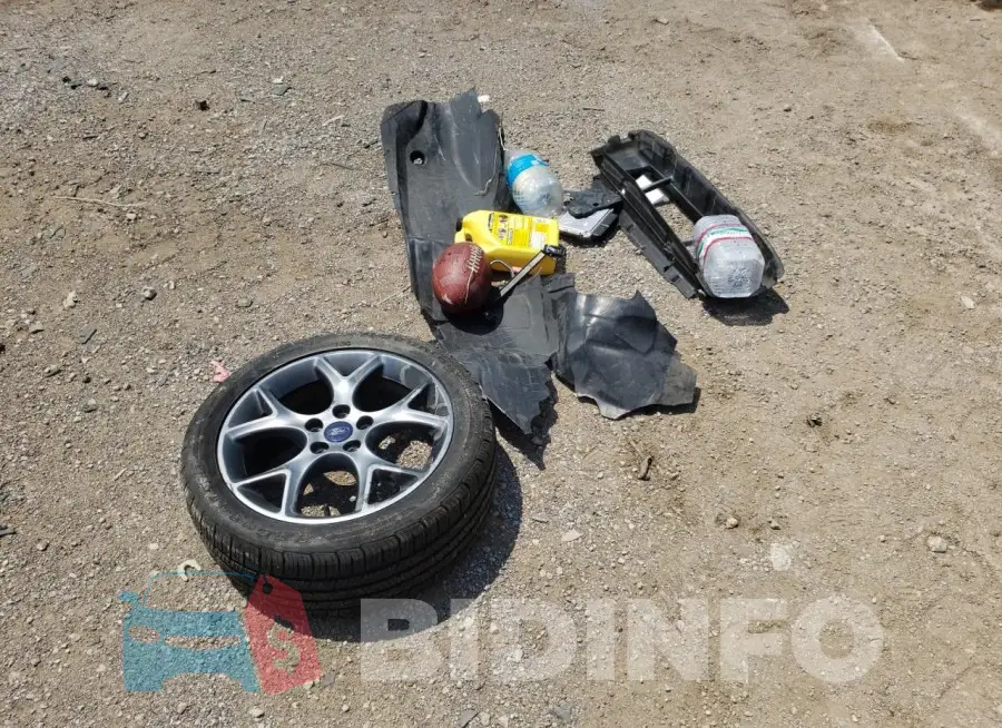 1FADP3F20FL299946 Photo# 12