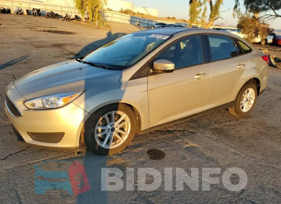 1FADP3F26GL246895 Photo# 1