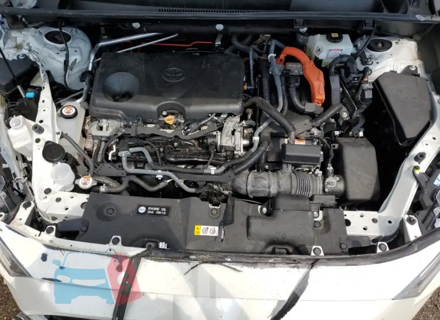 2T3D6RFV6MW017068 Photo# 11