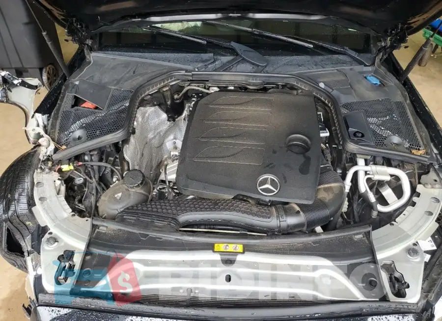 WDDWF8DB1KR483201 Photo# 11