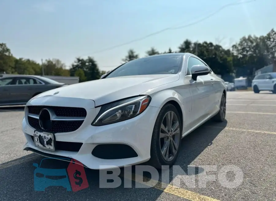 WDDWJ4KB7JF627005 Photo# 1