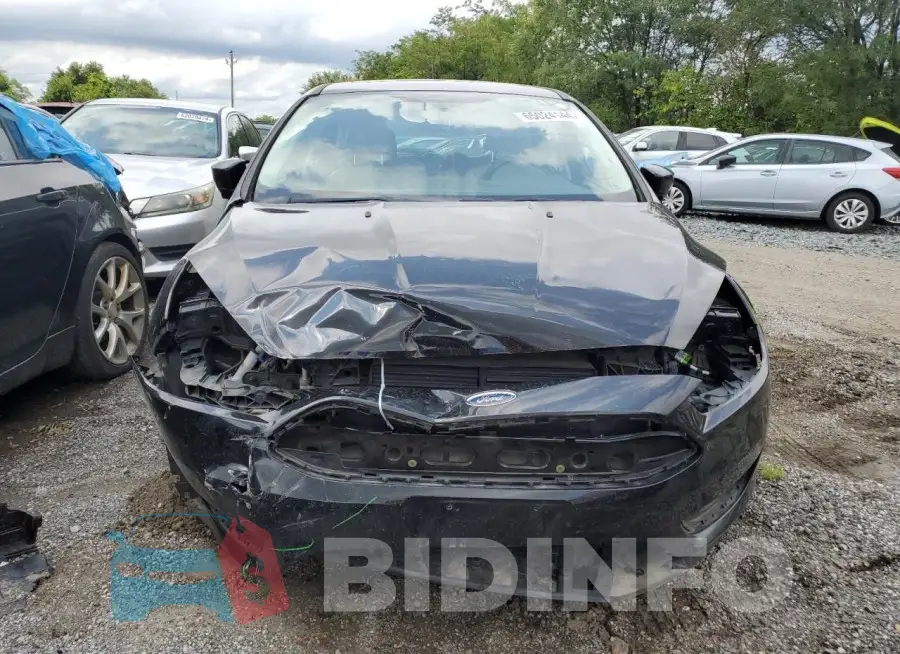 1FADP3N24GL302480 Photo# 5