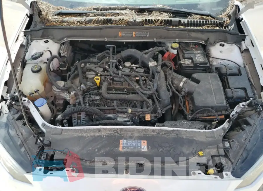 3FA6P0HD2LR256776 Photo# 11