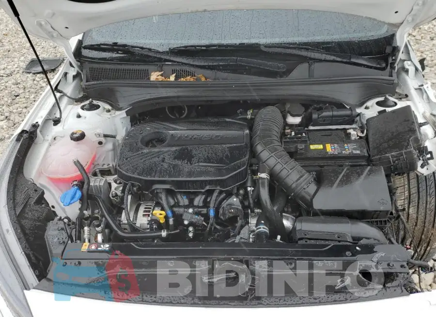 3KPF44AC4PE646545 Photo# 11