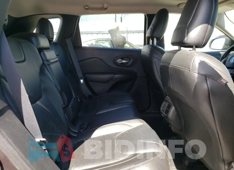 1C4PJLDS9FW707970 Photo# 11