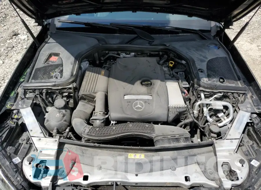 WDDZF4KB2KA657560 Photo# 11
