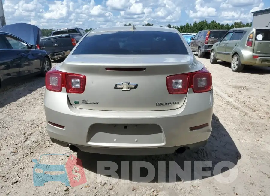 1G11F5SLXFF109006 Photo# 6