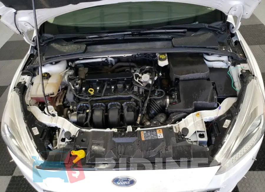 1FADP3E22JL202515 Photo# 11