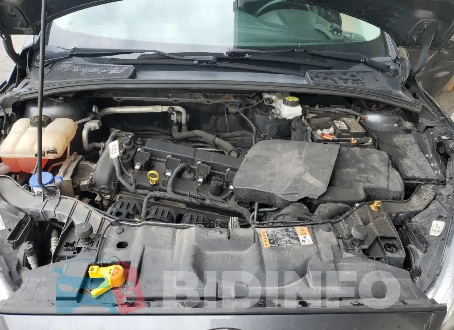 1FADP3K24HL323464 Photo# 11