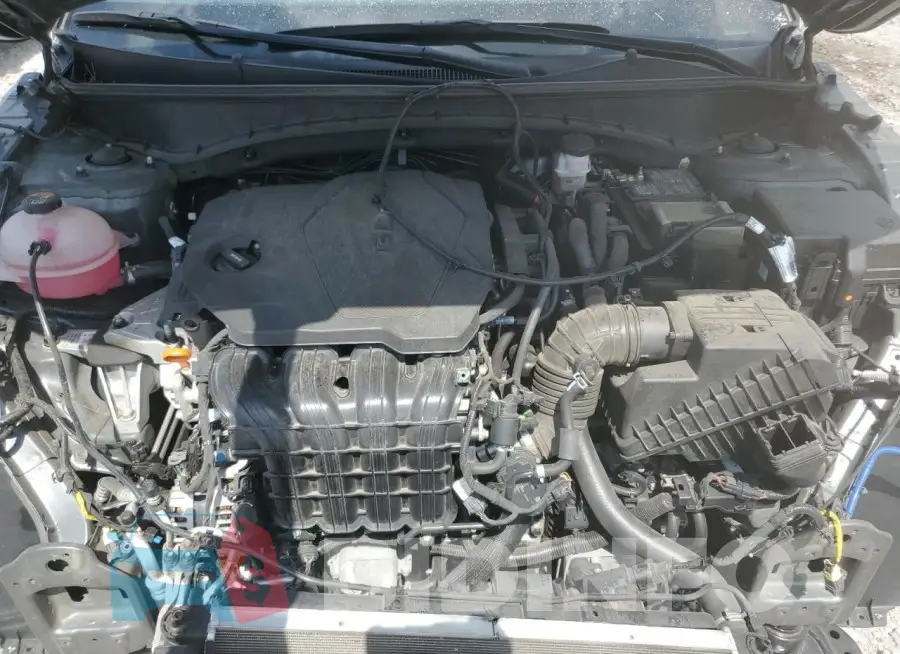 5NMJB3AE8PH231023 Photo# 12