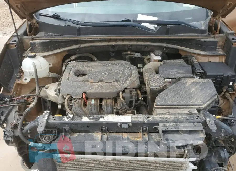 KNDPN3AC6L7637836 Photo# 12