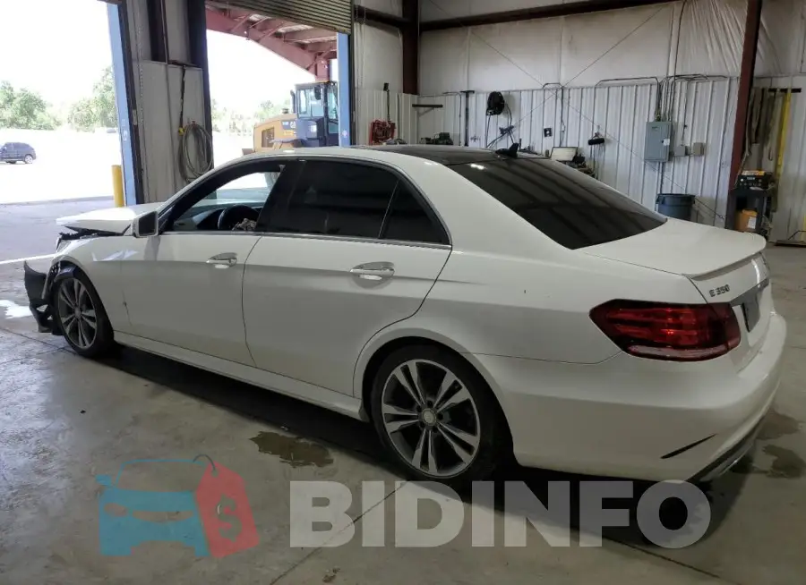 WDDHF8JB1GB193425 Photo# 2