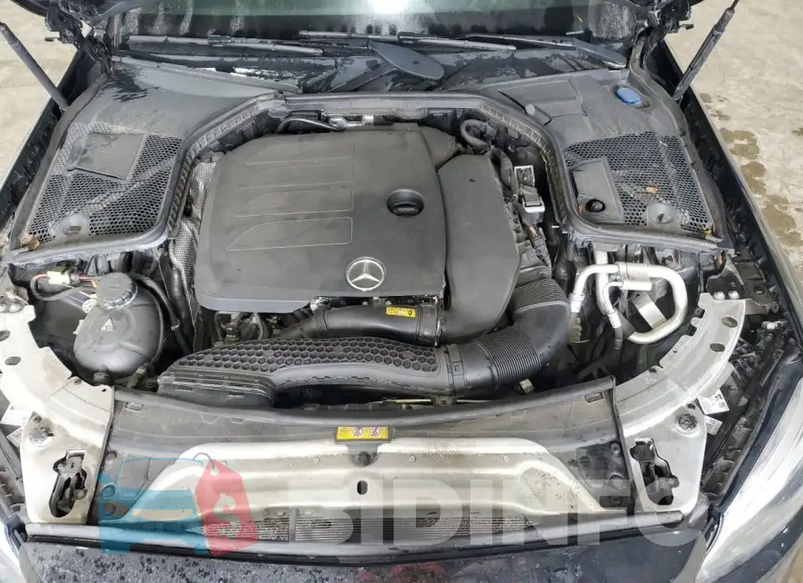WDDWF8EB1LR540920 Photo# 11