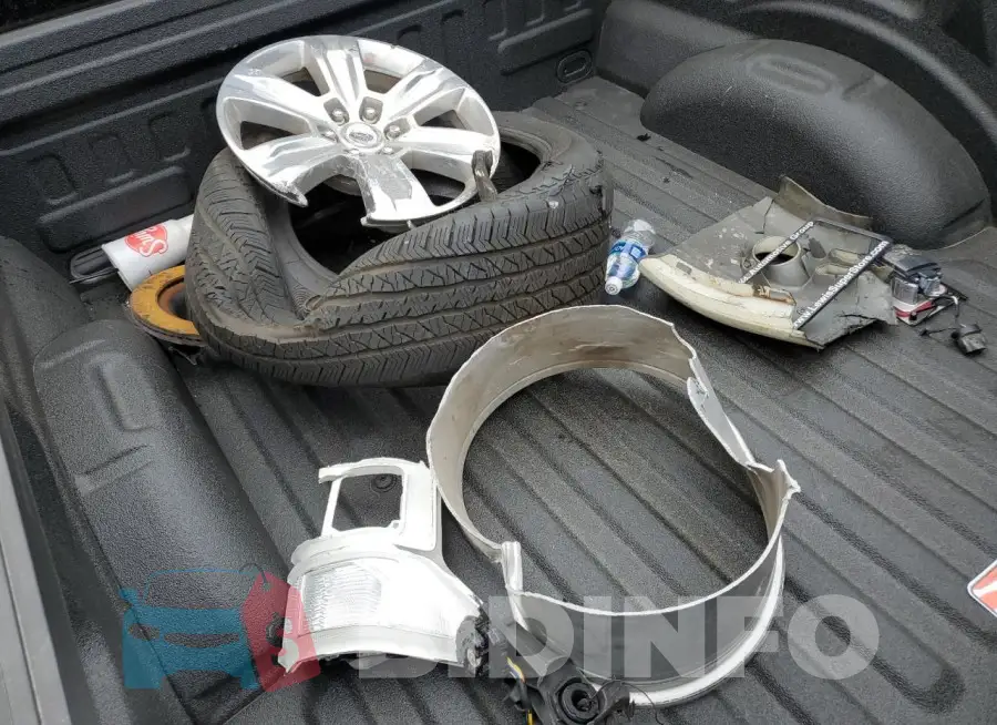 1FTEW1E42LFA45819 Photo# 12