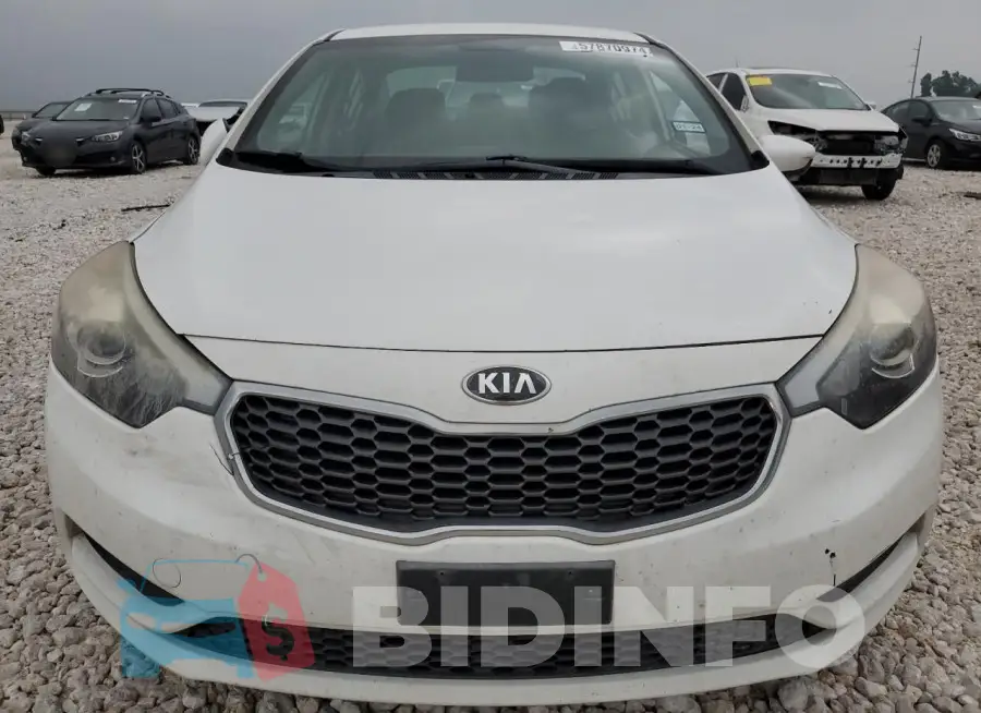 KNAFK4A65G5496633 Photo# 5
