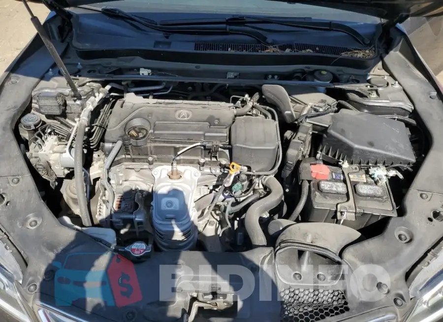 19UUB1F36GA002604 Photo# 11
