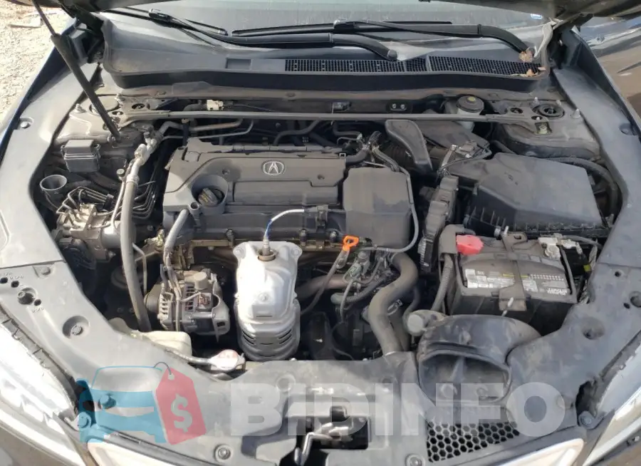 19UUB1F50GA007055 Photo# 11