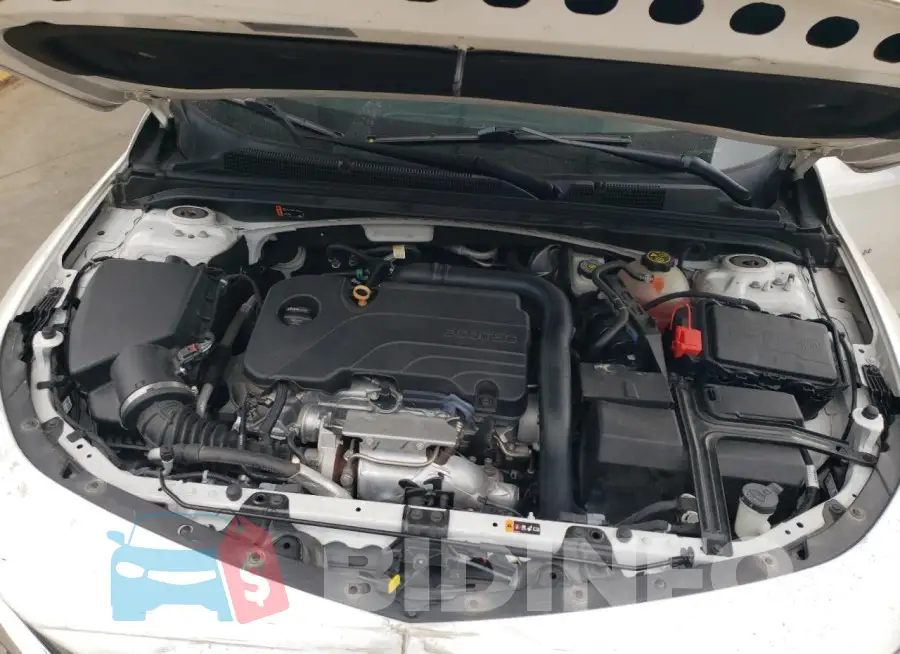 1G1ZD5ST1KF197270 Photo# 11