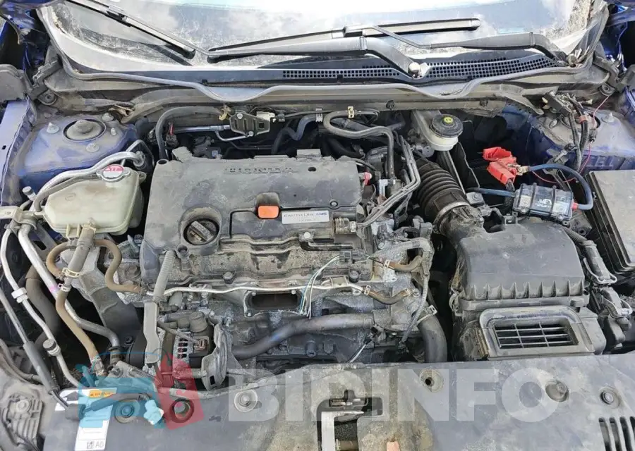 19XFC2F62KE045251 Photo# 7