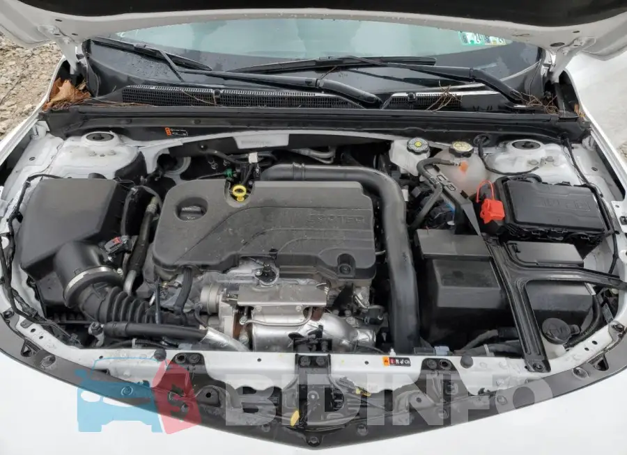 1G1ZD5ST3PF191347 Photo# 11