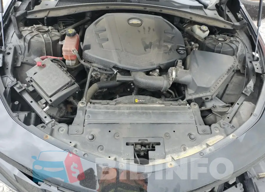 1G1FB1RSXH0182504 Photo# 11