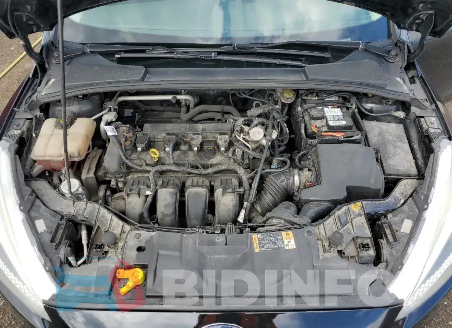 1FADP3F22GL353071 Photo# 11