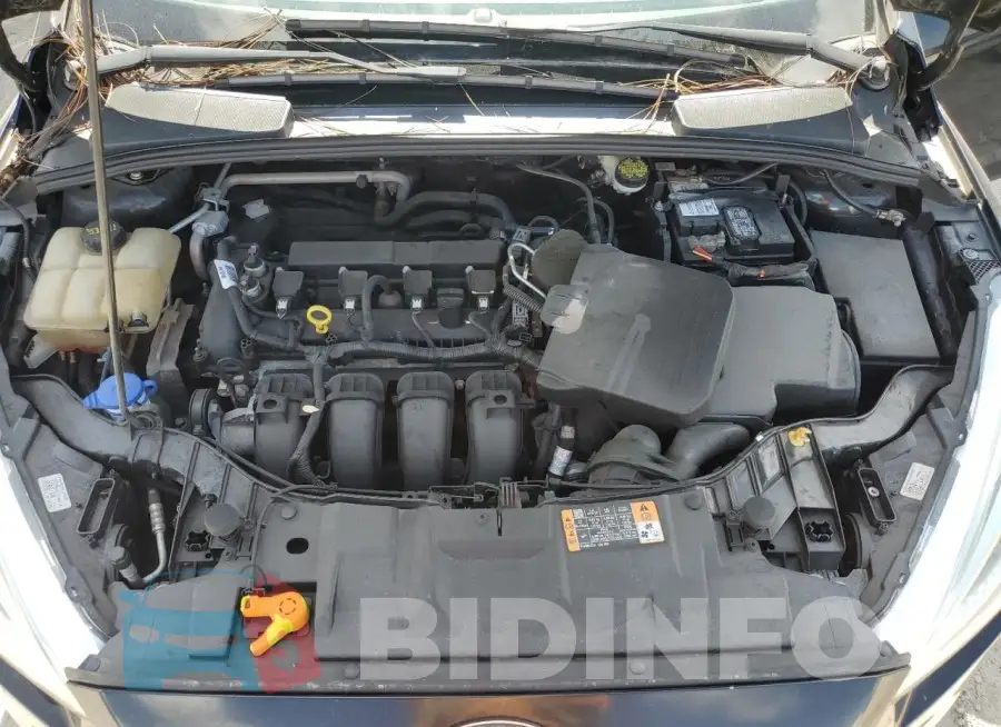 1FADP3K20GL204079 Photo# 11