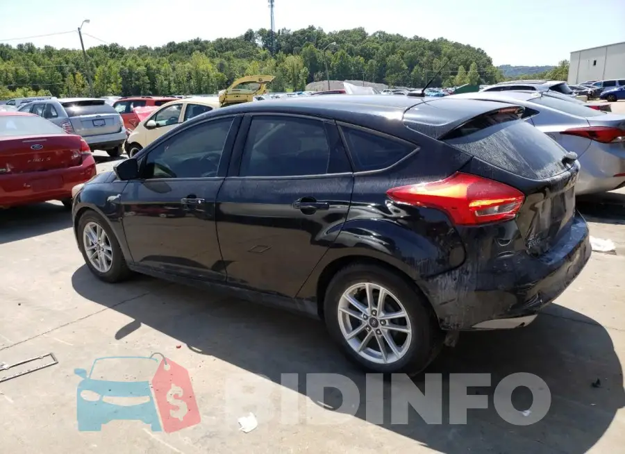 1FADP3K22GL387243 Photo# 2