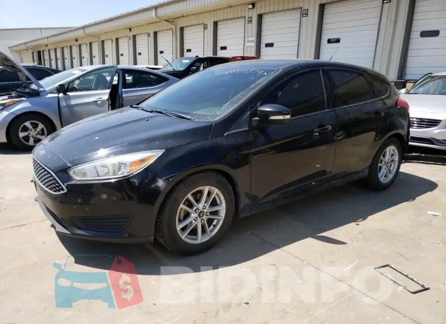 1FADP3K22GL387243 Photo# 1