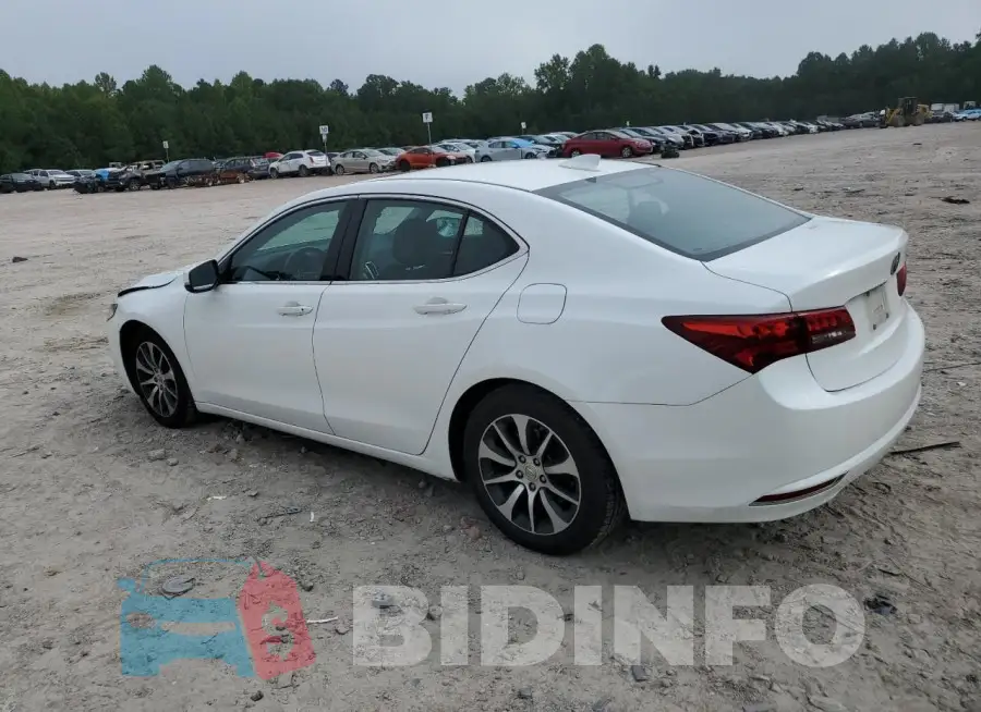 19UUB1F33FA029953 Photo# 2